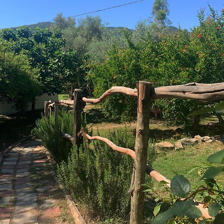 S'Imbragu Farm B&B Tortolì Exteriér fotografie