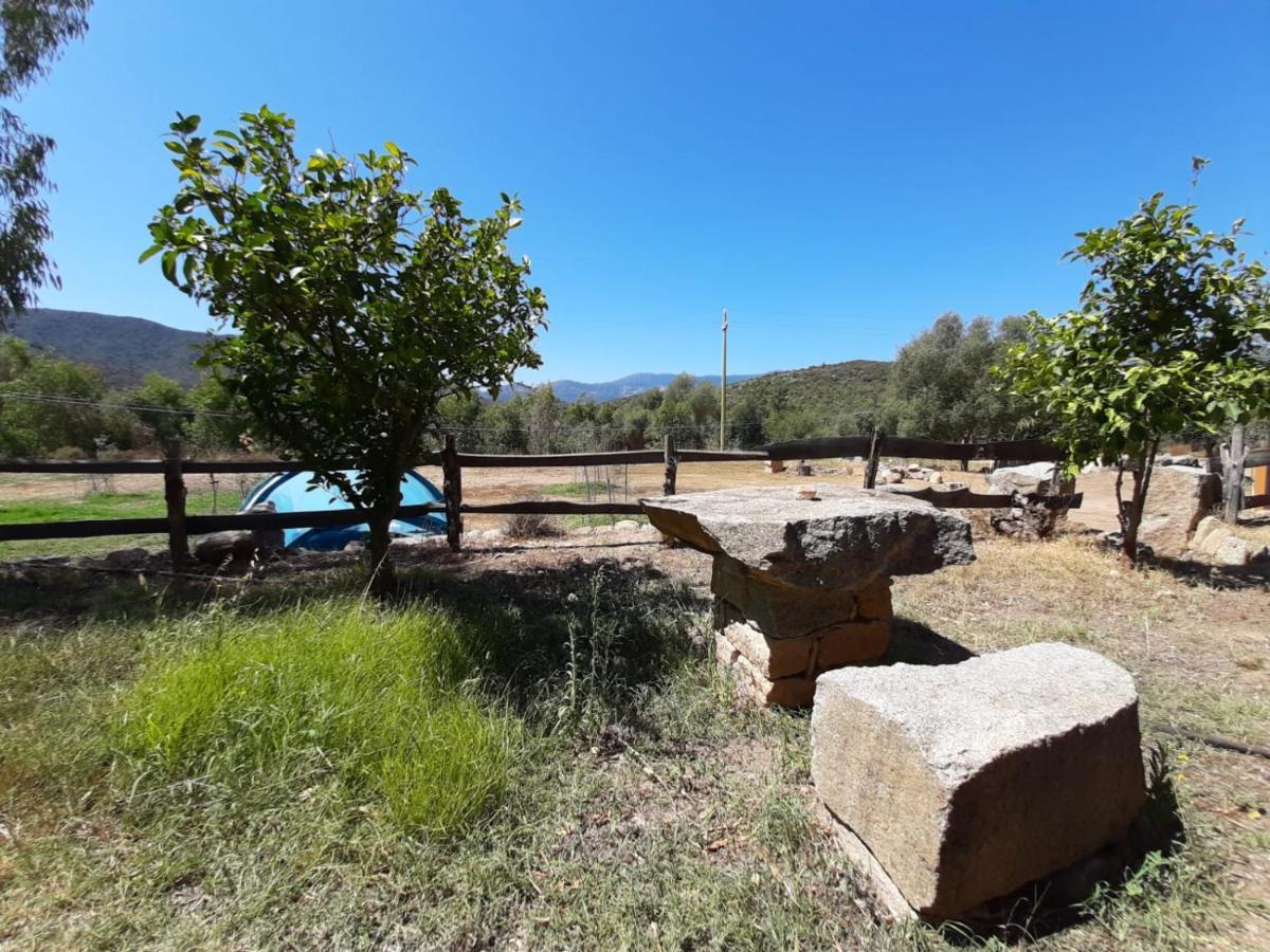 S'Imbragu Farm B&B Tortolì Exteriér fotografie