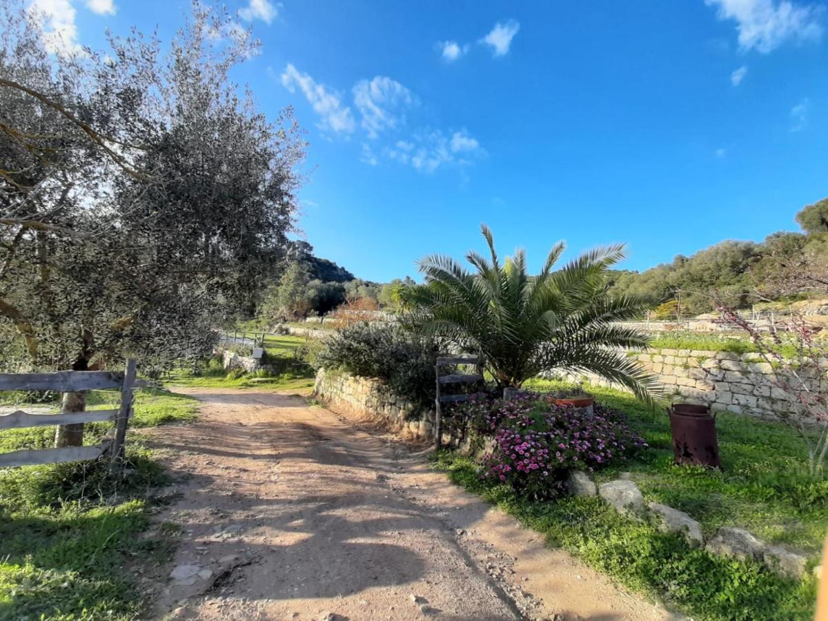 S'Imbragu Farm B&B Tortolì Exteriér fotografie