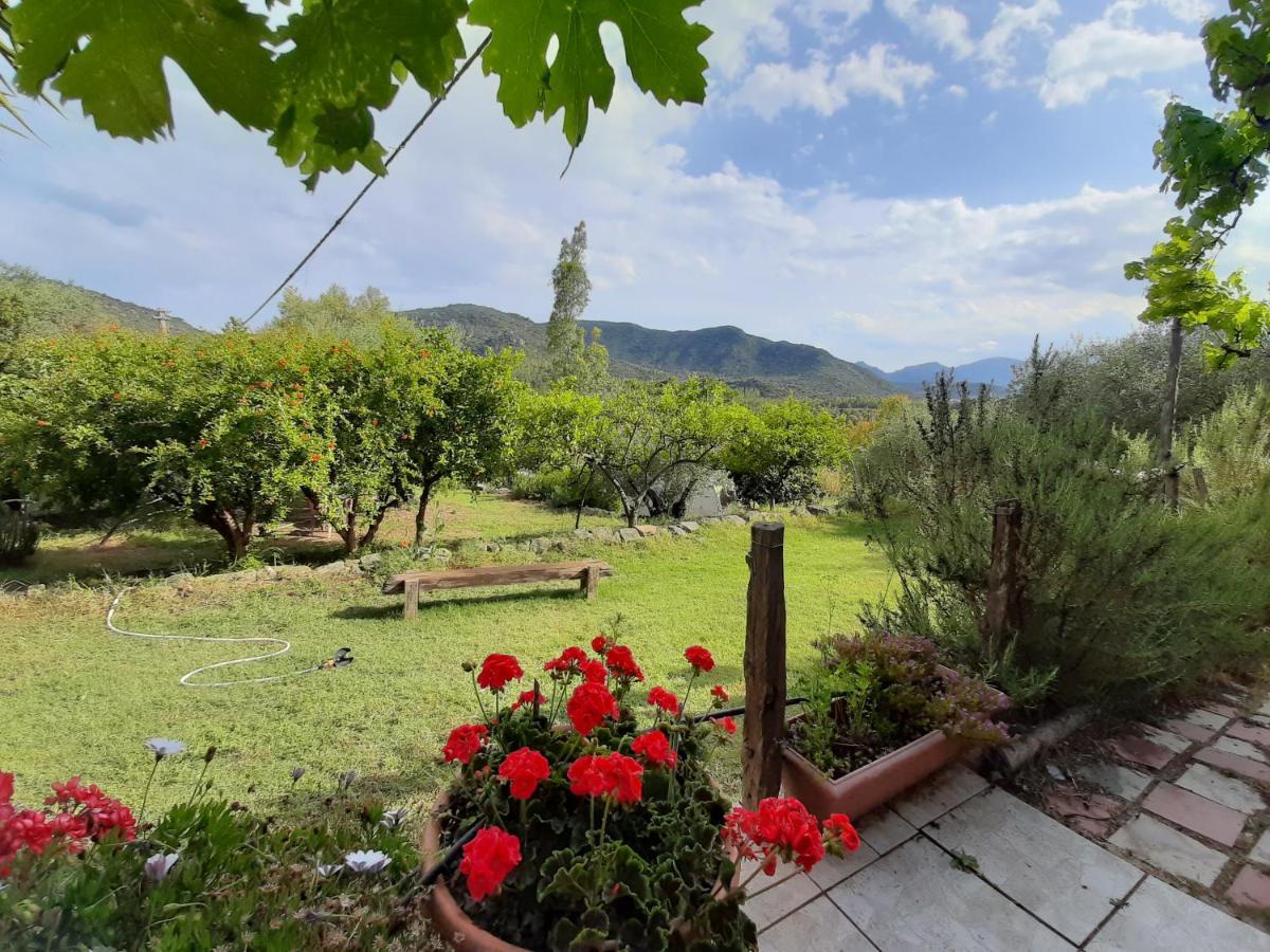 S'Imbragu Farm B&B Tortolì Exteriér fotografie