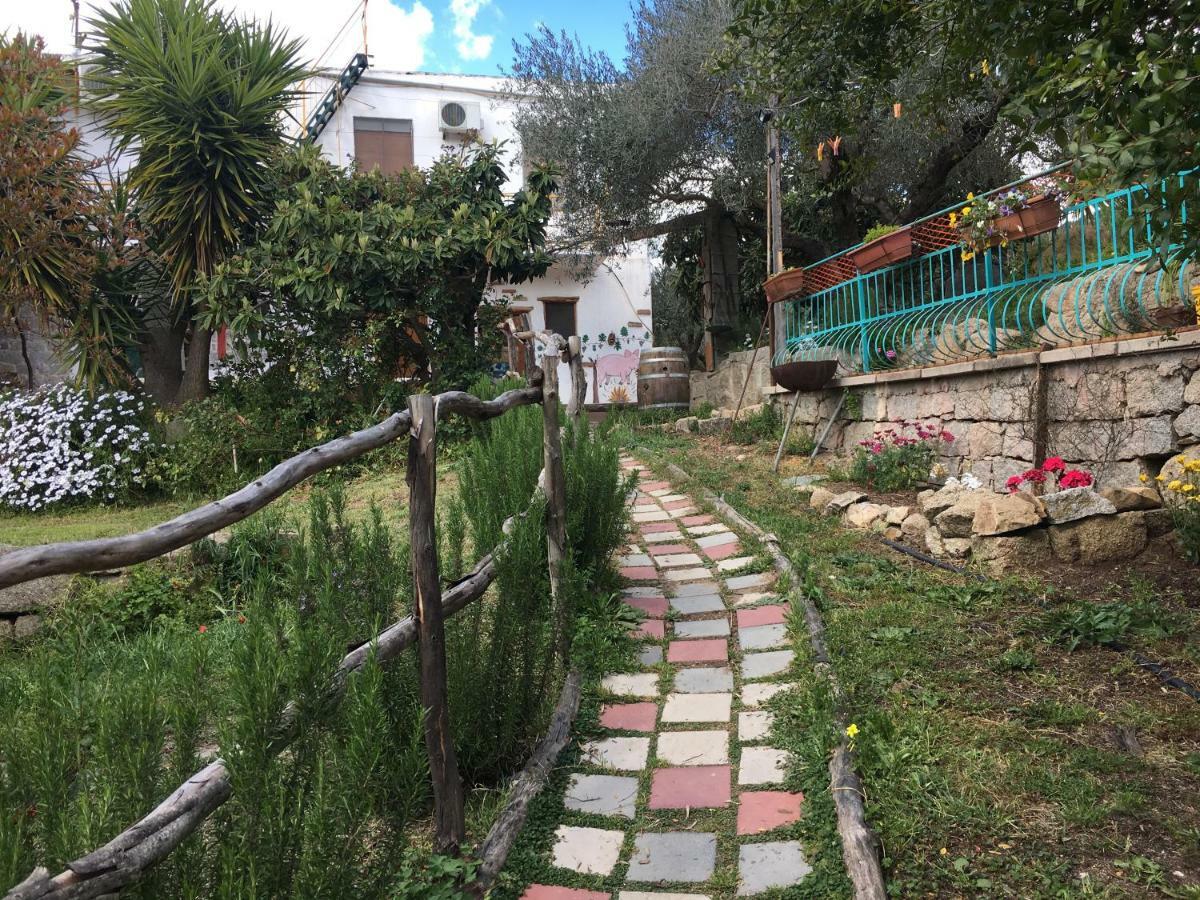 S'Imbragu Farm B&B Tortolì Exteriér fotografie
