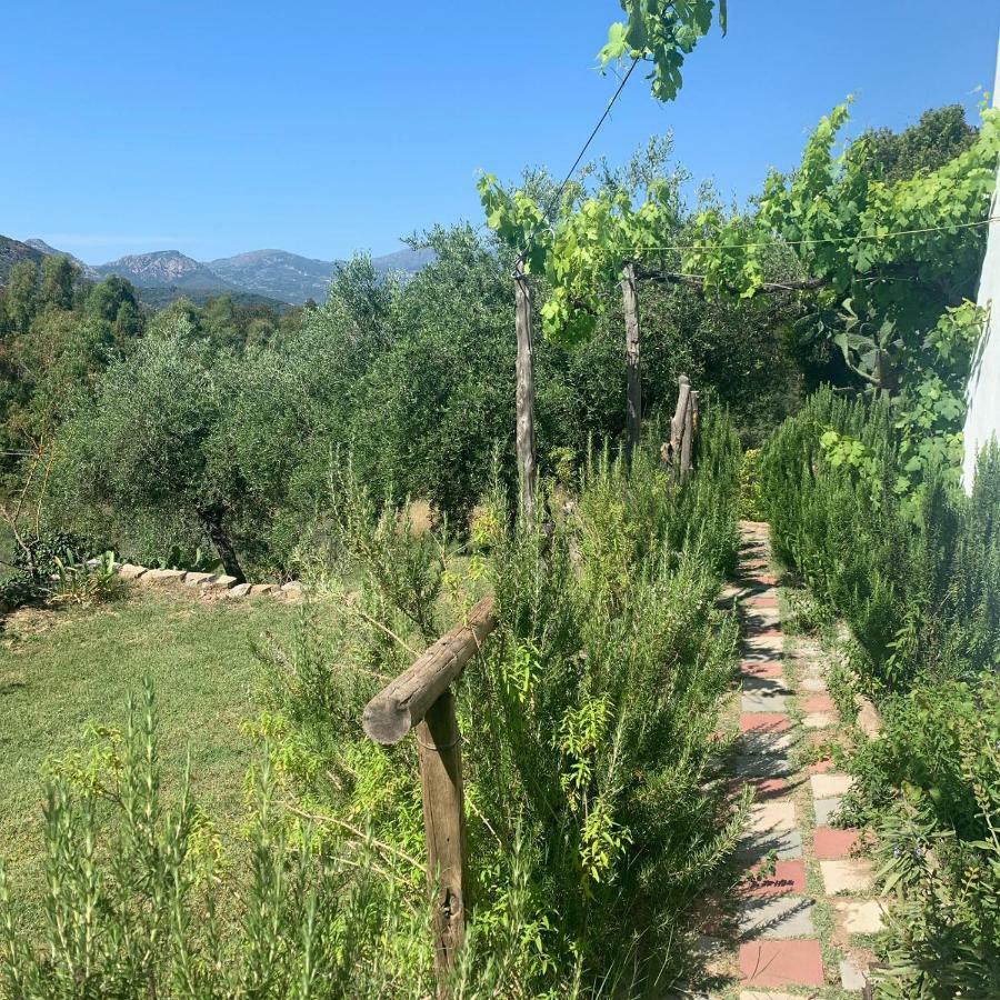 S'Imbragu Farm B&B Tortolì Exteriér fotografie