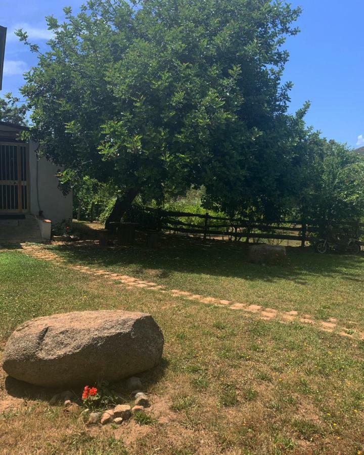 S'Imbragu Farm B&B Tortolì Exteriér fotografie